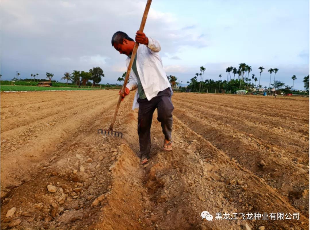 1640653803178366.jpg 6.jpg