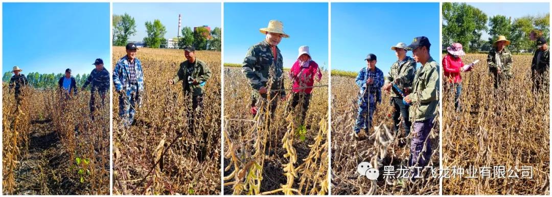 1640654776489873.jpg 10.jpg