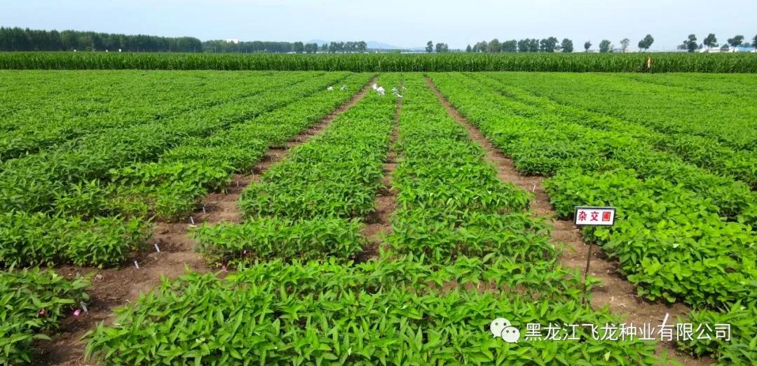 1640655499659720.jpg 3.jpg