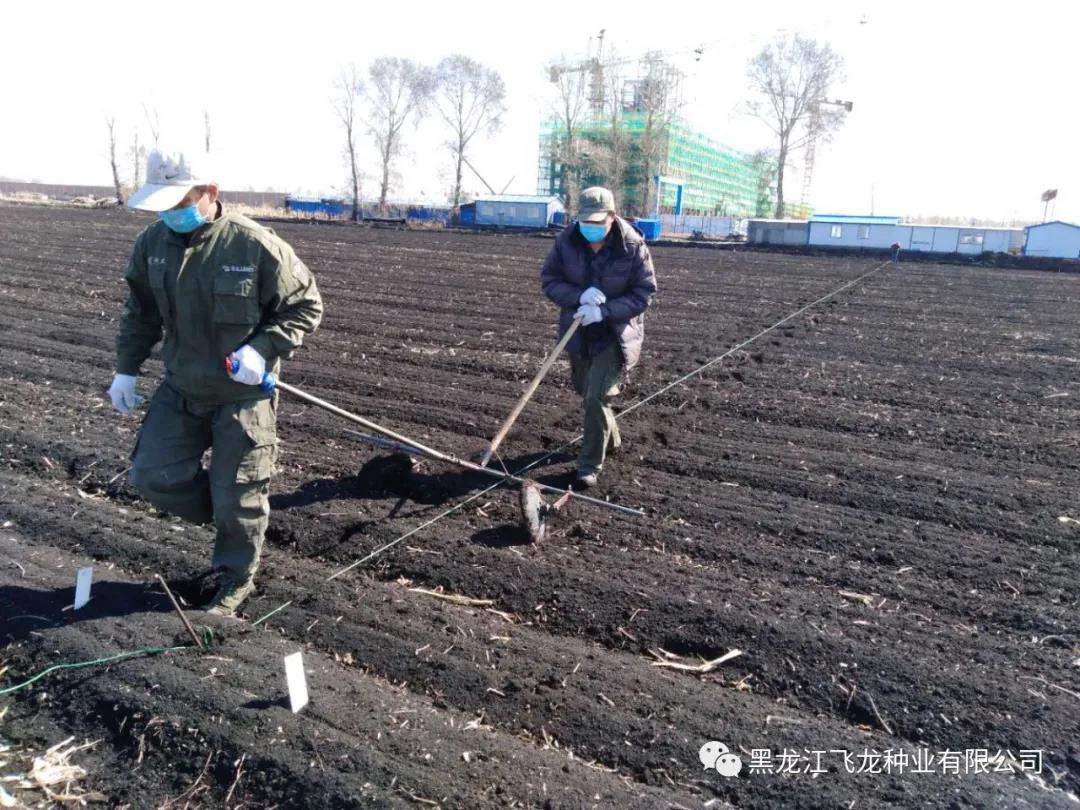 1640670261978241.jpg 18.jpg