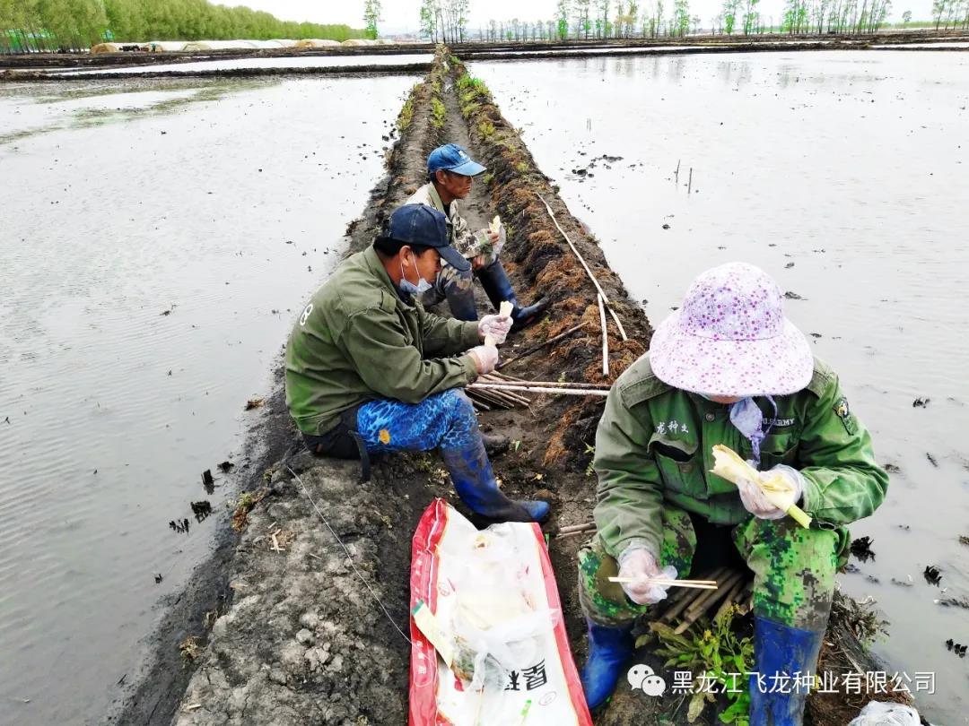 1640671849111740.jpg 11.jpg