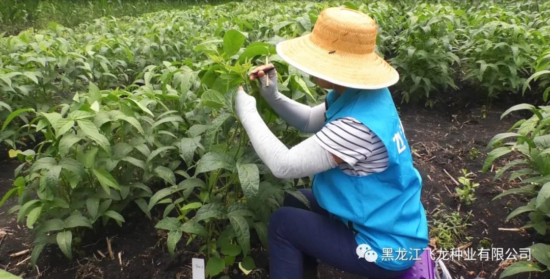 1640738218339219.jpg 6.jpg