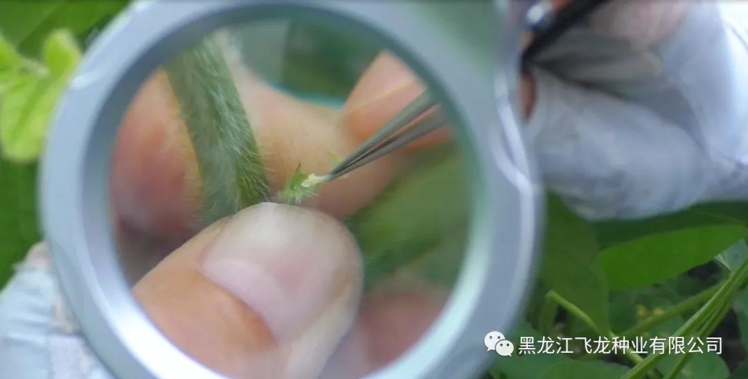 1640738298119533.jpg 16.jpg