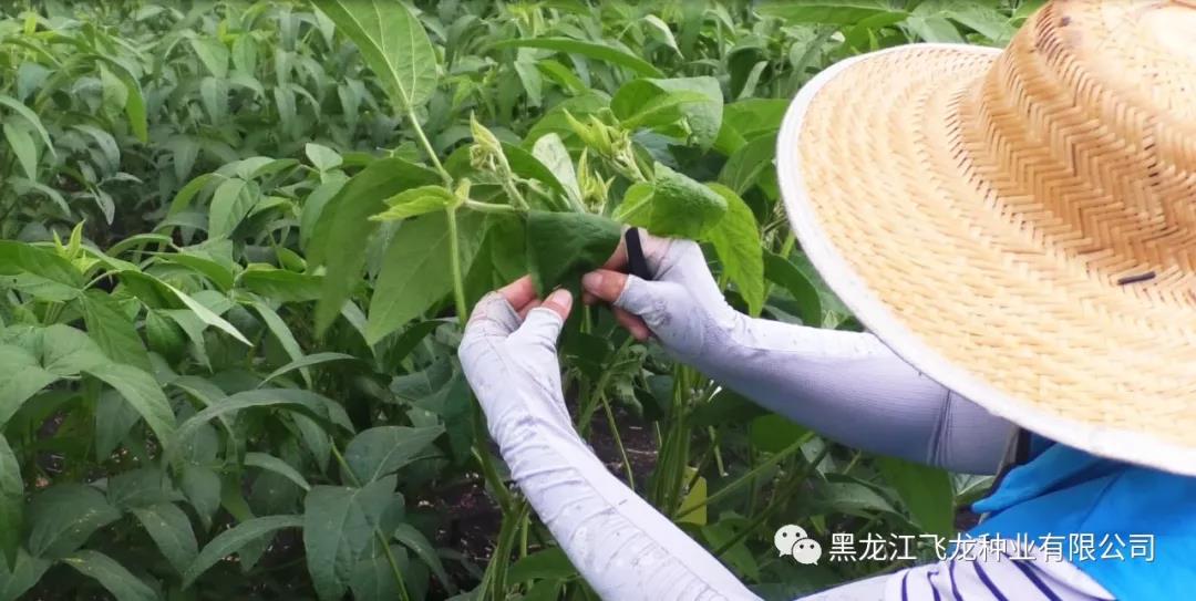 1640738308813214.jpg 17.jpg