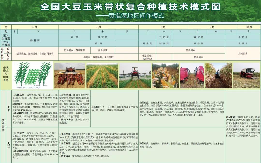 1645436207175741.jpg 6.jpg