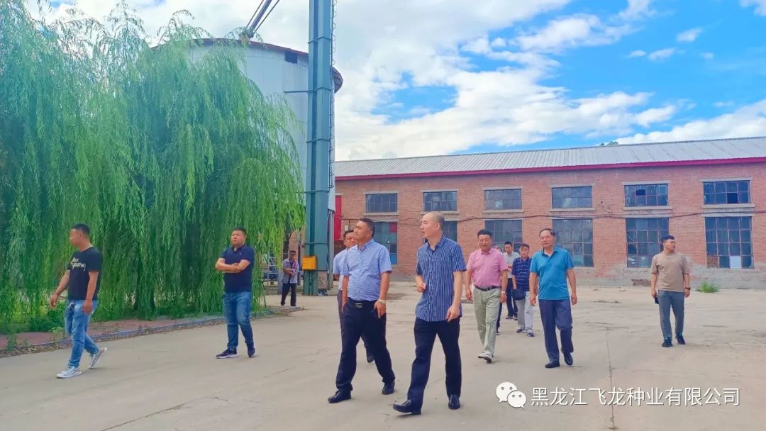 1660696664975143.jpg 9.jpg