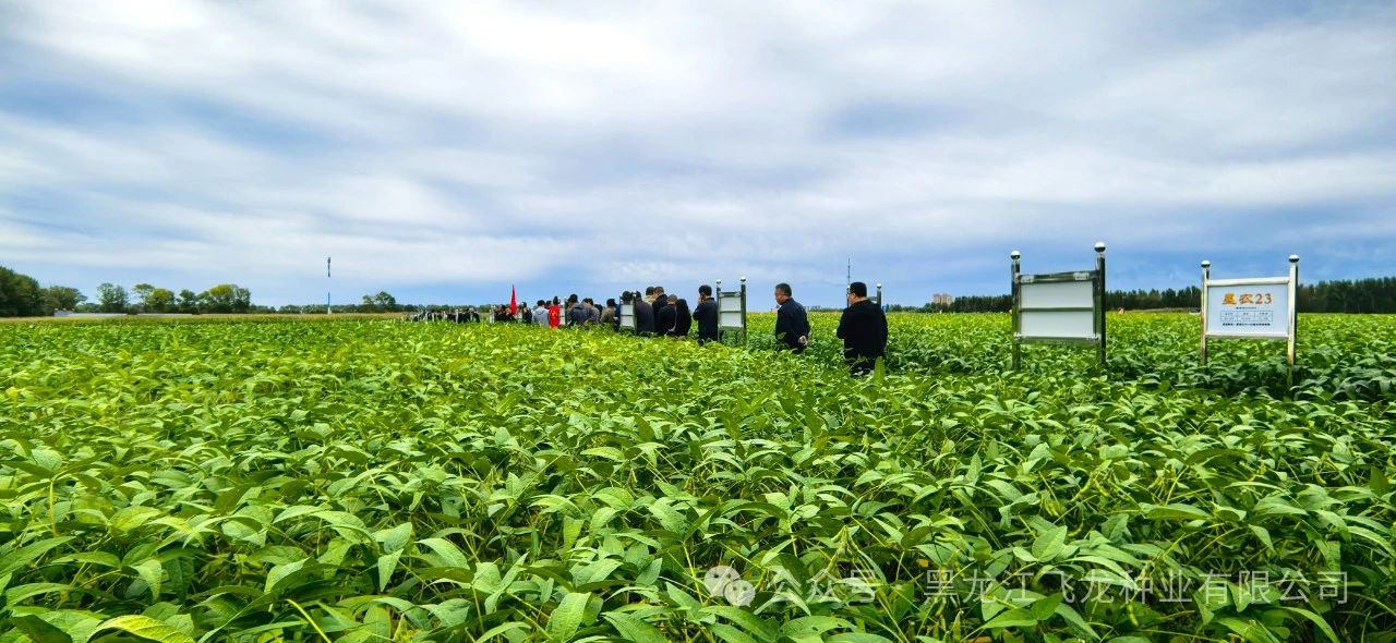 1725583514714714.jpg 3.jpg